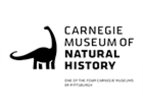 Carnegie Museum